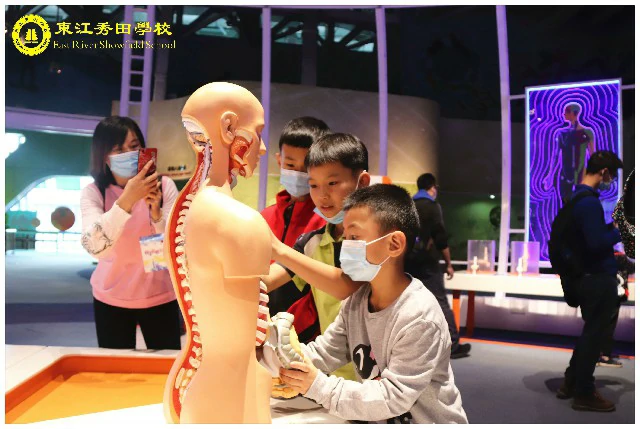 东江秀田学校润之班游学记
