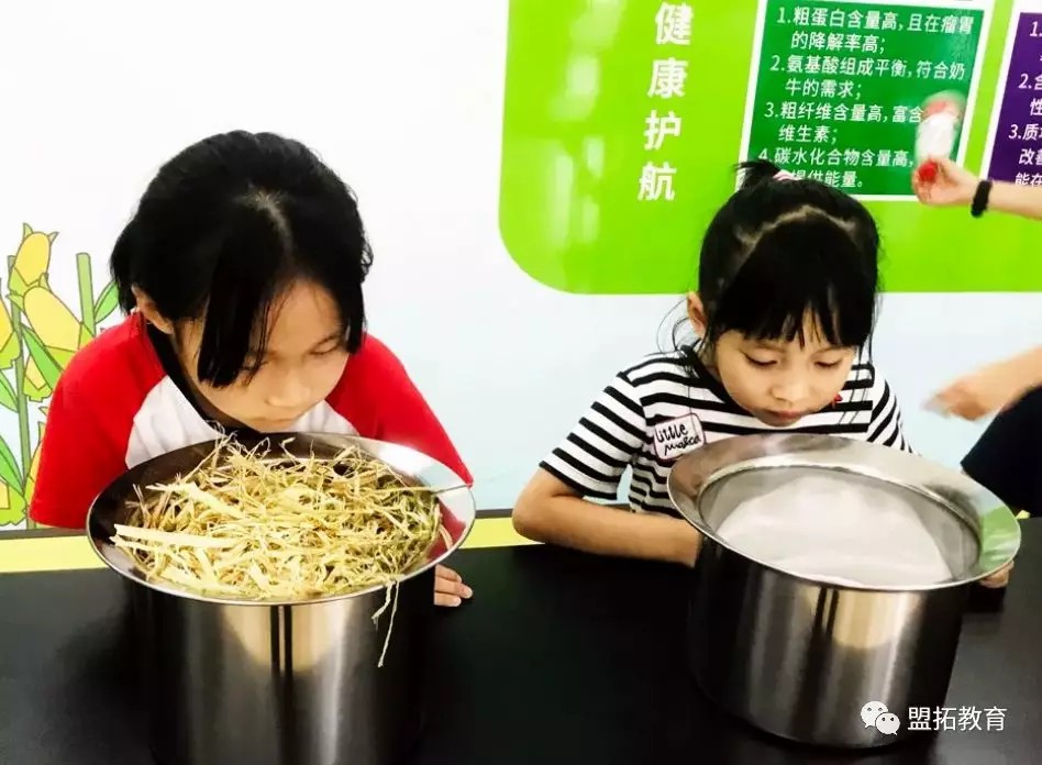 探秘牛奶生产过程、奶牛亲密互动、DIY姜奶!