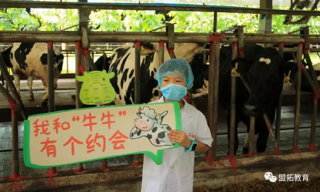 探秘牛奶生产过程、奶牛亲密互动、DIY姜奶!