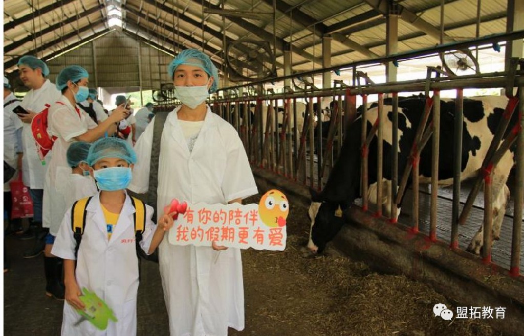 探秘牛奶生产过程、奶牛亲密互动、DIY姜奶!