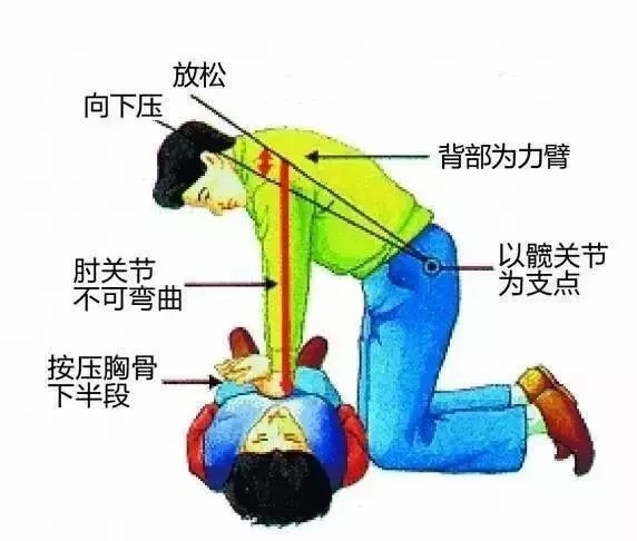 徒手心肺复苏操作要点