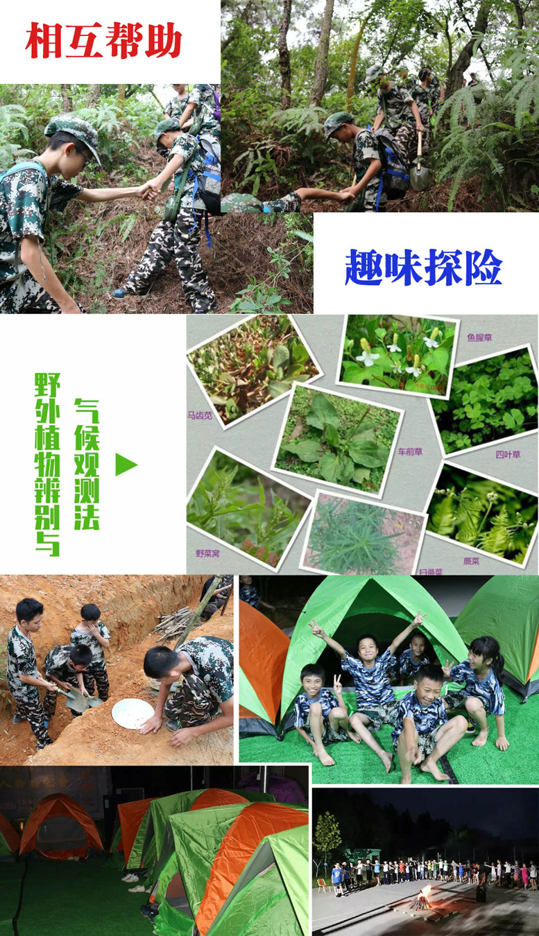 盟虎小兵猎人特训-展现实力,突破自我,拓宽视野