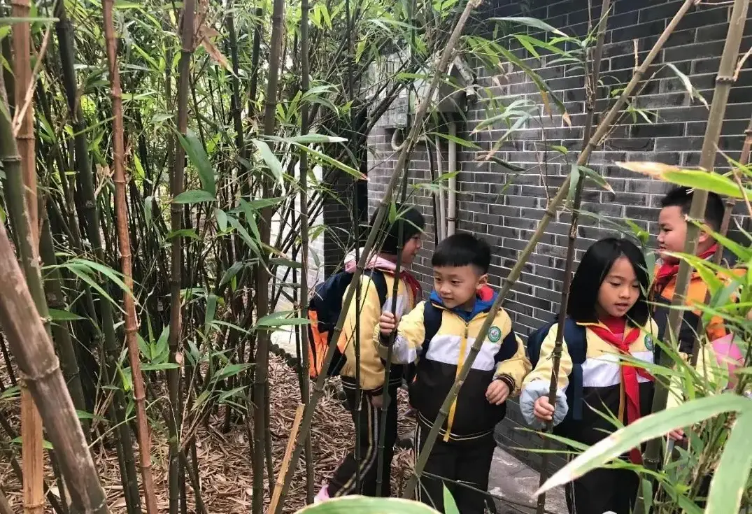 佛山历史研学游-盟娃一同走进宗师故里