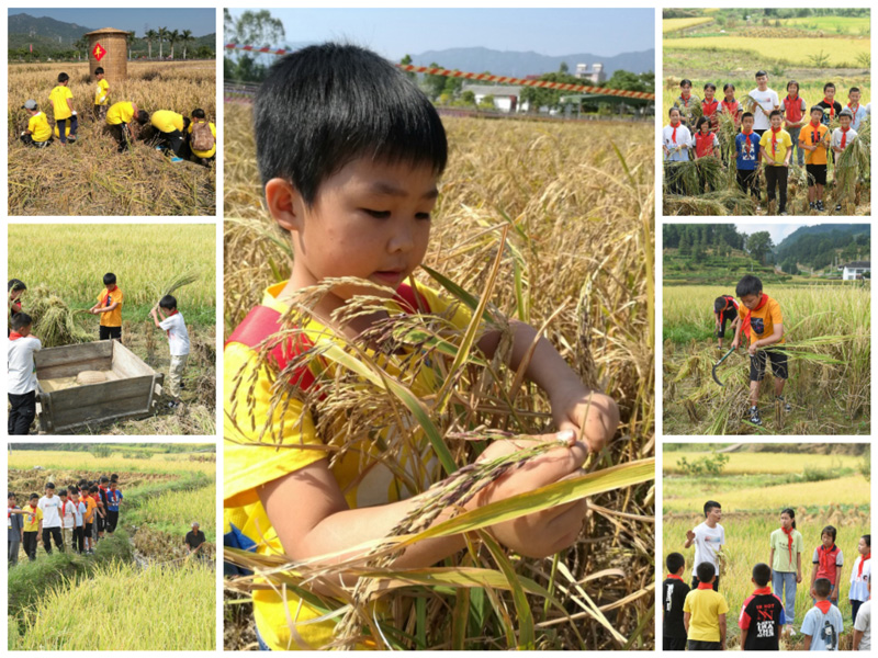 寻找秋天的滋味，盟娃一起勤劳秋收。