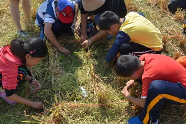 寻找秋天的滋味，盟娃一起勤劳秋收。