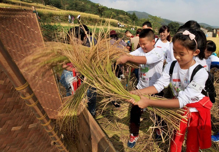 寻找秋天的滋味，盟娃一起勤劳秋收。