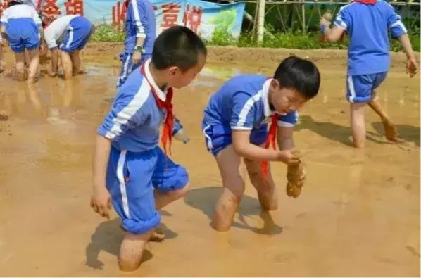 寻找秋天的滋味，盟娃一起勤劳秋收。